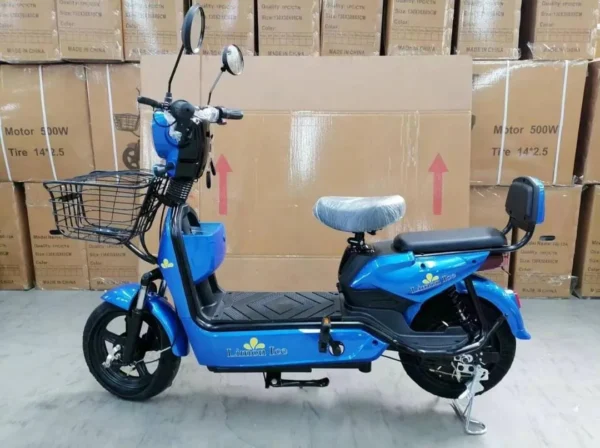 Moto electrica