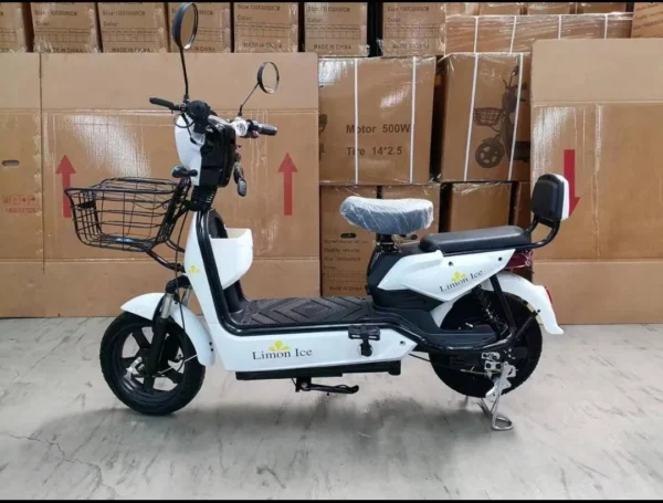 Moto electrica