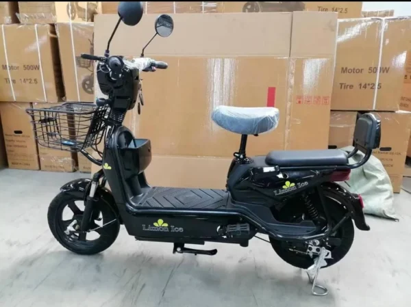 Moto electrica