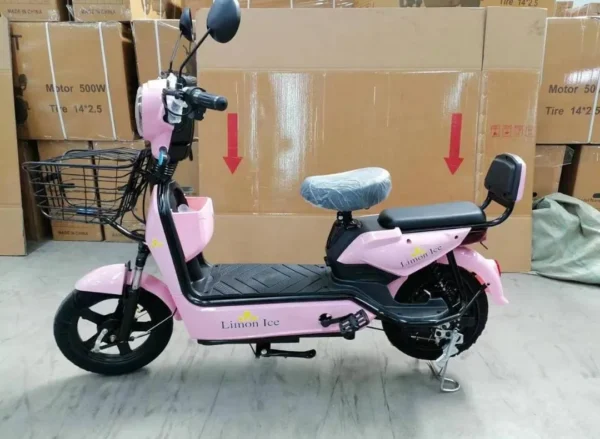 Moto electrica