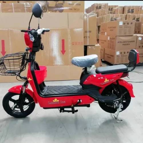 Moto electrica